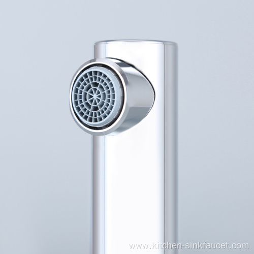 ABS Plastic Shower Head Faucet